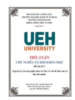 tiểu luận chủ nghĩa xã hội khoa học đề tài nguyên lý của chủ nghĩa mác lê nin về vấn đề dân chủ xã hội chủ nghĩa 