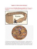 TRIẾT lí tôn GIÁO nổi bật đạo hinđu rất nhấn mạnh đạo pháp, nhân quả và luân hồi  luật nhân quả trong đạo hindu được thể hiện qua cặp nhị nguyên nghiệp báo (karma) – luân hồi (samsara)  