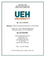 DỰ án CUỐI kỳ môn học thống kê ứng dụng trong kinh tế và kinh doanh 