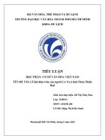 tiểu luận học phần cơ sở văn hóa việt nam đề tài lễ hội đâm trâu của người cơ tu ở tỉnh thừa thiên huế 