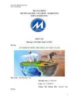 BÁO cáo môn học TIN học đại CƯƠNG đề tài ô NHIỄM môi TRƯỜNG ở VIỆT NAM 