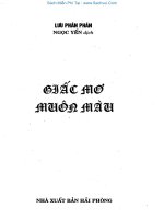 Nghiên cứu giải mã giấc mơ: Phần 1