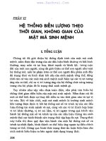 Nghệ thuật giải mã cuộc đời: Phần 2