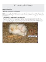 KỸ THUẬT CHĂN NUÔI GÀ