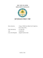 KẾ HOẠCH THỰC TẬP TẠI CÔNG TY TNHH GIAO NHẬN VẬN TẢI NGÔI SAO KIM CƯƠNG