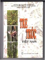 MÔ TẢ CÁC LOÀI TRE TRÚC VIỆT NAM