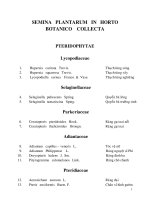 THỰC VẬT TCV FULL BEST