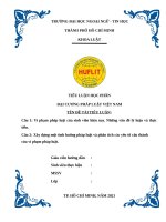 Tiểu luận pháp luật đại cương