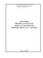 GIÁO TRÌNH MÔN HỌC: CƠ ỨNG DỤNG NGHỀ: CẮT GỌT KIM LOẠI TRÌNH ĐỘ: TRUNG CẤP + CAO ĐẲNG