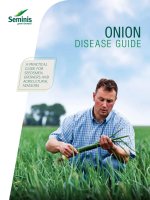 Onion disease guide