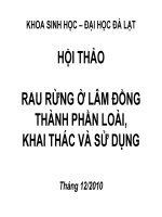 RAU RỪNG Ở LÂM ĐỒNG THÀNH PHẦN LOÀI, KHAI THÁC VÀ SỬ DUNG