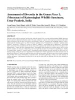 Diversity in the genus ficus