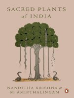 Sacred plants of india