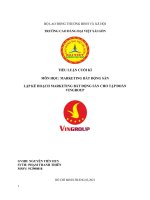 TIỂU LUẬN CUỐI kì môn học MARKETING bất ĐỘNG sản lập kế HOẠCH MARKETING bất ĐỘNG sản CHO tập đoàn VINGROUP 
