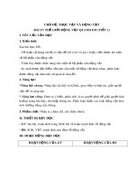 Giáo án môn Tự nhiên và xã hội lớp 3 sách Chân trời sáng tạo - Bài 17: Thế giới động vật quanh em (Tiết 1+2)