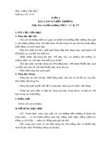 Giáo án môn Tiếng Việt lớp 3 sách Chân trời sáng tạo - Tuần 2