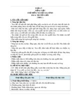 Giáo án môn Tiếng Việt lớp 3 sách Chân trời sáng tạo - Tuần 17: Bài 4