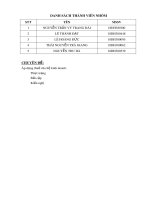 Tiểu luận Luật thuế: Áp dụng thuế cho hộ kinh doanh