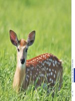 Bảo tồn động vật hoang dã: sổ tay giáo dục truyền thông: Phần 2