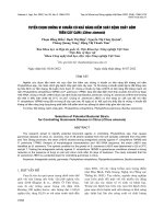 Tuyển chọn chủng vi khuẩn có khả năng kiểm soát bệnh chảy gôm trên cây cam (Citrus sinensis)