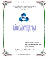 báo cáo thực tập công ty mười hợi và công ty cơ khí xây dựng nam long