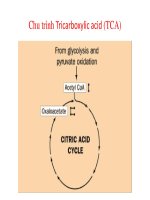 GIÁO TRÌNH NĂNG LƯỢNG VÀ TRAO ĐỔI CHẤT Energetics and Metabolism