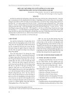 Hiệu quả mô hình sản xuất giống lúa màu SR20 theo hướng hữu cơ tại vùng Đông Nam Bộ