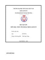 BÀI tập lớn môn học PHÂN TÍCH HOẠT ĐỘNG KINH tế 