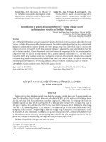 Kết quả đánh giá một số dòng/giống lúa gạo màu tại tỉnh Nam Định