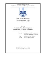 tiểu luận môn học khai thác dữ liệu đề tài tìm hiểu các mô hình học sâu cho bài toán đánh giá cảm xúc 