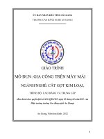 Giáo trình Gia công trên máy mài (Nghề: Cắt gọt kim loại - Trình độ CĐ/TC) - Trường Cao đẳng Nghề An Giang