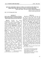 Kết quả sớm phẫu thuật cường cận giáp nguyên phát tại Bệnh viện Nội tiết Trung ương giai đoạn 2016-2018