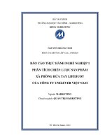 phân tích chiến lược sản phẩm  xà phòng rửa tay lifebuoy của công ty unilever việt nam 