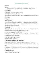 Giáo án môn Toán lớp 6 sách Chân trời sáng tạo - Chương 1: Bài 2