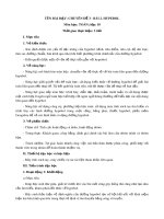 Giáo án môn Toán lớp 10 sách Chân trời sáng tạo - Chuyên đề 3: Bài 2