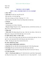 Giáo án môn Toán lớp 6 sách Chân trời sáng tạo - Chương 1: Bài 1