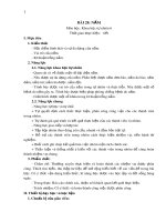 Giáo án môn Khoa học tự nhiên lớp 6 sách Chân trời sáng tạo: Bài 28