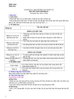 Giáo án môn Toán lớp 10 sách Chân trời sáng tạo - Chương 3: Bài tập cuối chương 3