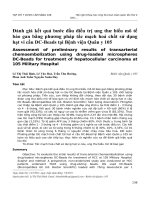 Đánh giá kết quả bước đầu điều trị ung thư biểu mô tế bào gan bằng phương pháp tắc mạch hoá chất sử dụng hạt vi cầu DC-Beads tại Bệnh viện Quân y 105