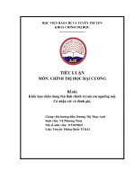 TIỂU LUẬN MÔN CHÍNH TRỊ HỌC ĐẠI CƯƠNG Đề tài Khắc họa chân dung thủ lĩnh chính trị mà em ngưỡng mộ. Có nhận xét và đánh giá