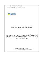 THỰC TRẠNG QUY TRÌNH CUNG ỨNG NGUỒN NHÂN LỰC TẠI CÔNG TY CP TƯ VẤN ĐÀO TẠO VÀ CUNG ỨNG NHÂN LỰC VIETNAM (VHR)