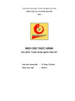 BÁO CÁO THỰC HÀNH Học phần Tuyển dụng nguồn nhân lực vinamilk