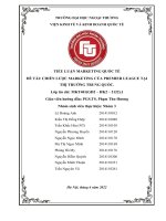 TIỂU LUẬN MARKETING QUỐC TẾ ĐỀ TÀI CHIẾN LƯỢC MARKETING CỦA PREMIER LEAGUE TẠI THỊ TRƯỜNG TRUNG QUỐC