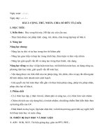 Giáo án môn Toán lớp 7 sách Kết nối tri thức: Bài 2