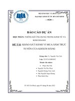 THỐNG KÊ ỨNG DỤNG TRONG KINH TẾ VÀ KINH DOANH ĐỀ TÀI KHẢO SÁT HÀNH VI MUA SẮM TRỰC TUYẾN CỦA KHÁCH HÀNG