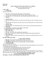 Giáo án môn Công nghệ lớp 10 sách Cánh diều: Bài 11