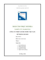 NGHIÊN cứu MARKETING CÔNG TY TNHH NATURE STORY VIỆT NAM mỹ PHẨM COCOON 