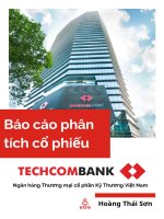 báo cáo PHÂN TÍCH TECHCOMBANK TCB