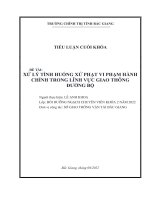 Tiểu luận quản lý nhà nước ngạch chuyên viên về xử phạt vi phạm hành chính trong lĩnh vực giao thông đường bộ