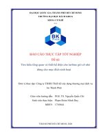 BÁO CÁO THỰC TẬP TỐT NGHIỆP Đề tài Tìm hiểu tổng quan và thiết kế điện cho turbine gió cỡ nhỏ dùng cho mục đích sinh hoạt